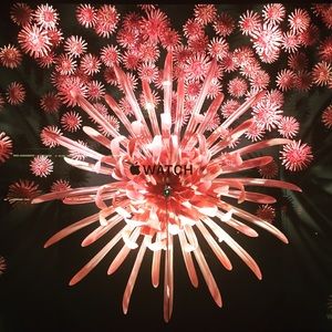 Meet your Posher, Barb